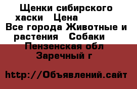 Щенки сибирского хаски › Цена ­ 12 000 - Все города Животные и растения » Собаки   . Пензенская обл.,Заречный г.